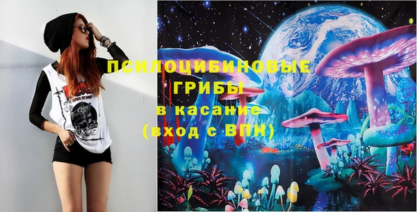 шишки Алексин