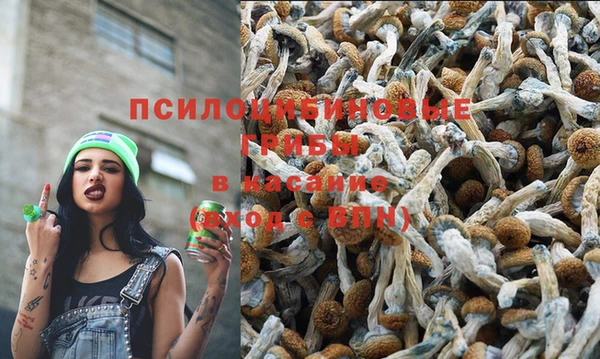 шишки Алексин