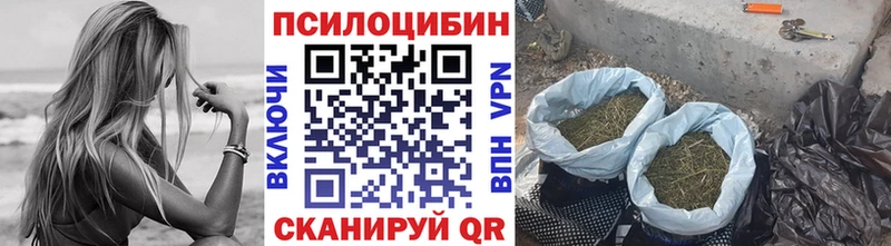 omg   Тулун  Псилоцибиновые грибы ЛСД 