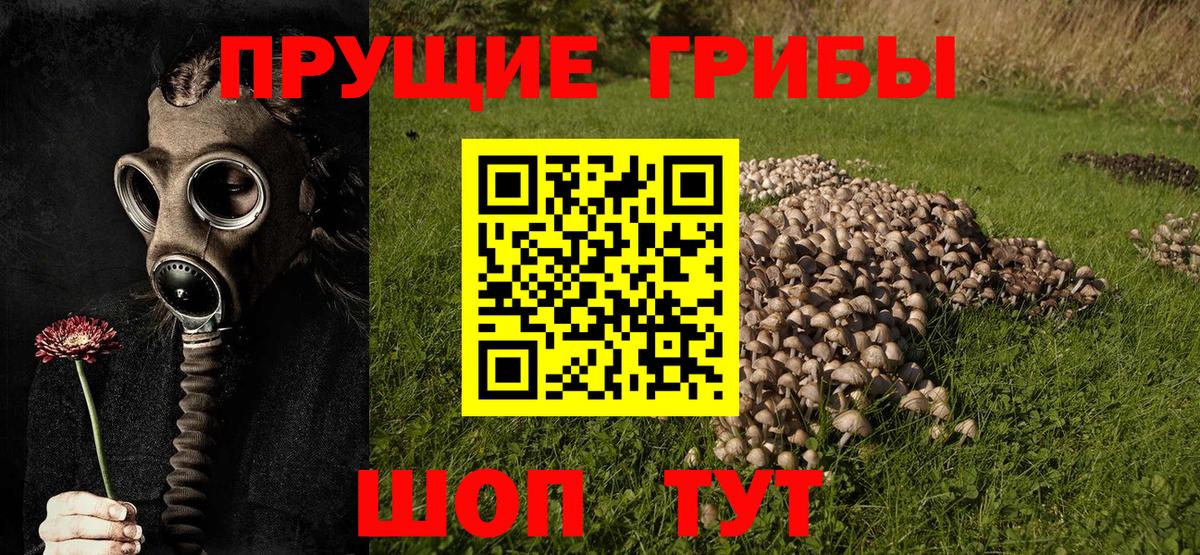 Галлюциногенные грибы MAGIC MUSHROOMS  Вход с VPN  закладка  Псилоцибиновые грибы мухоморы  Тулун 