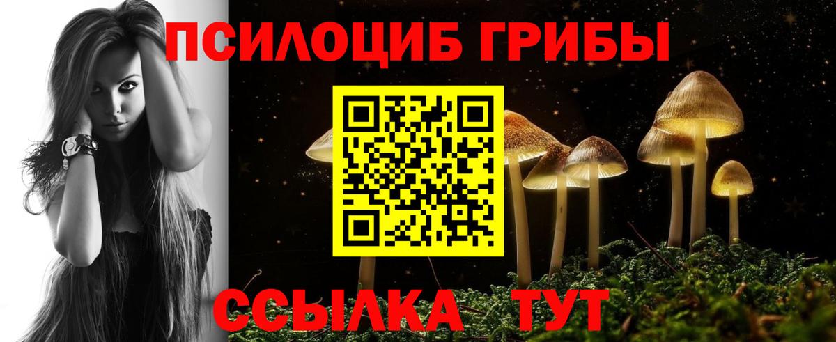 Галлюциногенные грибы MAGIC MUSHROOMS Тулун